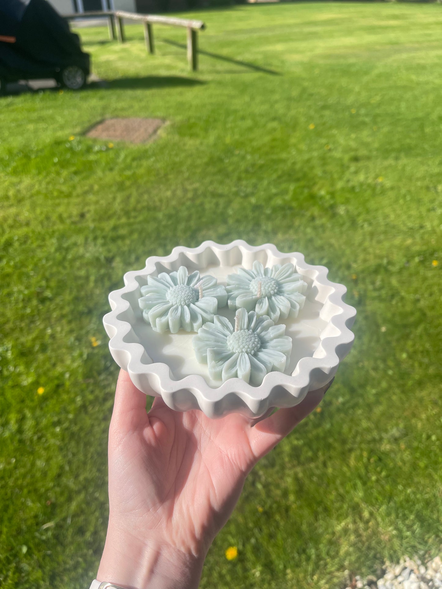 Green Daisy